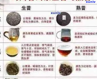 吉普号普洱茶品级划分详解：从入门级到珍品，一文搞定各类普洱茶分类