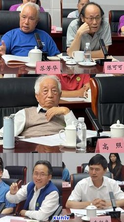 全面解析：吉普号普洱茶品质、口感、价格以及购买建议，看看是否值得一试？