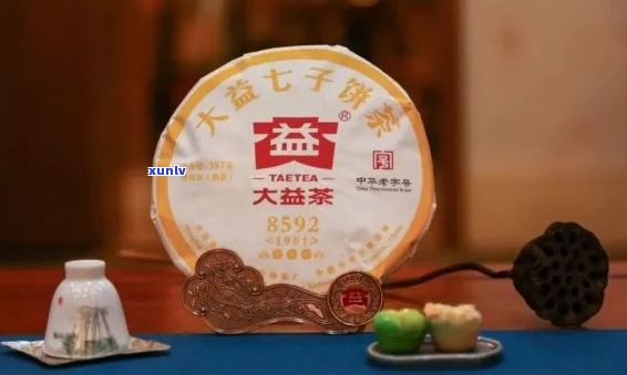 大益普洱茶品鉴宴：限时优，赠品相送，与您共享茶文化体验！