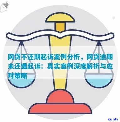 网贷逾期起诉实际案例详细解析