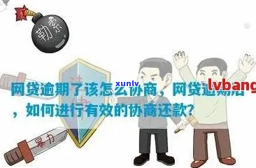 网贷一次结清减免流程是什么样的