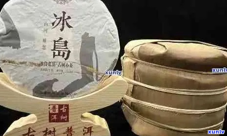 金冰岛普洱茶全方位解析：品种、产地、口感、冲泡与品鉴 *** 详解