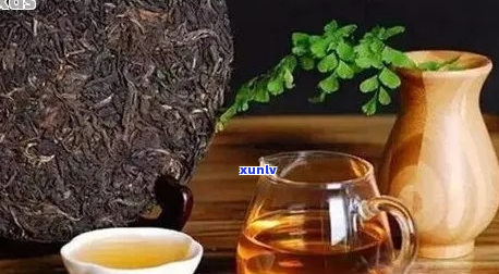 糯米香普洱茶对身体有害吗？有什么好处和坏处？有吗？