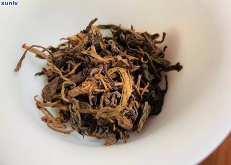 普洱茶的性质：科学解析与品饮技巧详解