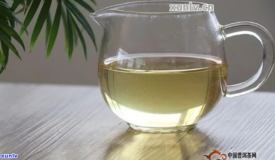 普洱茶益生菌群热水会破坏吗：如何正确泡普洱茶以保留益生菌？