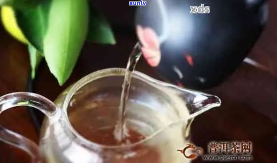 普洱茶益生菌群热水会破坏吗：如何正确泡普洱茶以保留益生菌？