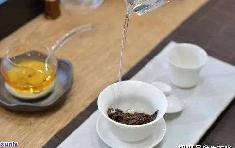 普洱茶泡法全解析：如何轻松 *** 美味又耐泡的普洱茶？