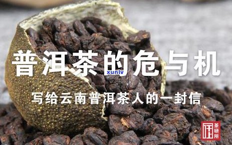 新 普洱茶饼中的胶水味道强烈，探究其原因与解决 *** 