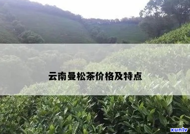 2020年曼松茶价格：曼松古树茶XXXX年、2012年和2019年的价格