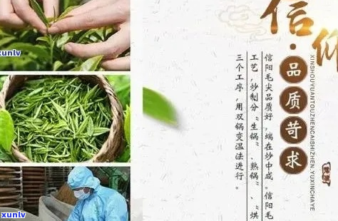 河南天茗茶：优质茶叶产品与服务，为您提供一站式解决方案