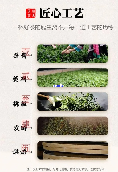 河南天茗茶：优质茶叶产品与服务，为您提供一站式解决方案