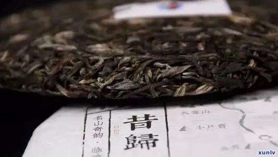 普洱昔归是哪个产区的-昔归普洱茶产区