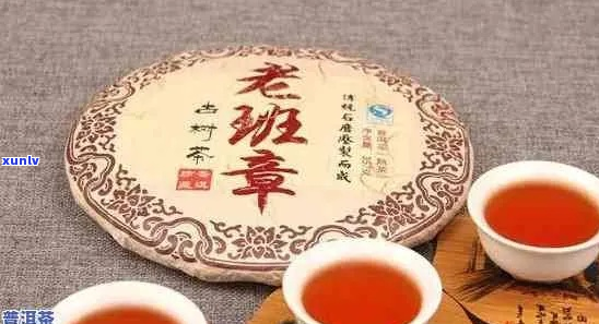 老班章泡茶时间：品鉴普洱茶的魅力与技巧