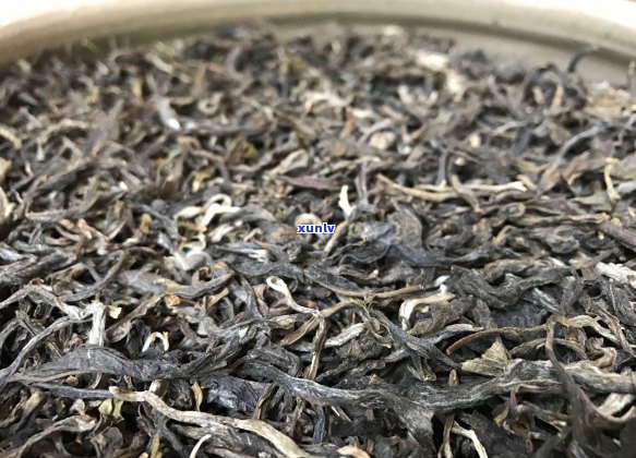 普洱茶年份与价格：老茶真的就比新茶贵吗？