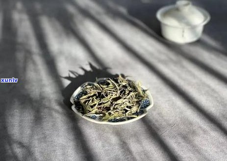 普洱茶年份与价格：老茶真的就比新茶贵吗？