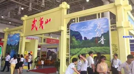 福州熟普洱茶加盟店：全方位指南与信息，解答您的所有疑问