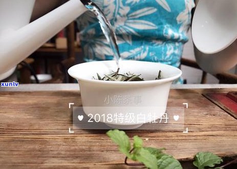 使用何种材质的壶烧水更适合冲泡普洱茶：椋橀壶还是其他选择？