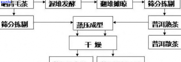 普洱茶：历、种类、 *** 工艺与品饮文化的全方位解析