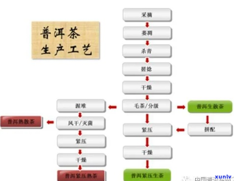 红茶独特的 *** 工艺：一步一步解构其特征性工序