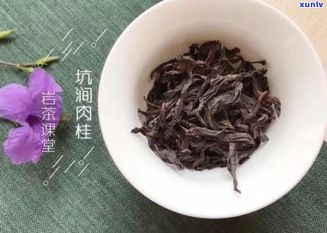 红茶的特性、品种与 *** 工艺全面解析：如何品尝与保存一杯上等红茶