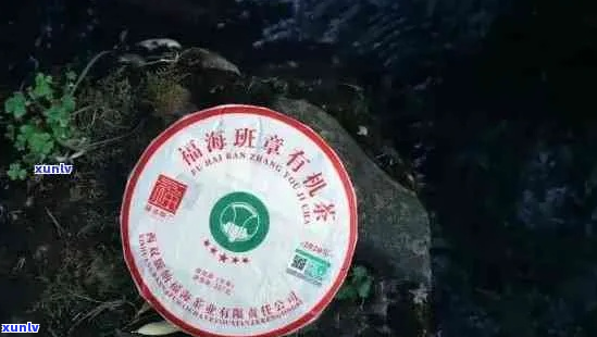 班章茶系列详解：多种类型与独特风味，如何选择与品鉴？