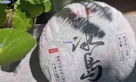 昕晨南：探索冰岛普洱茶之旅，品味自然之美与独特风味