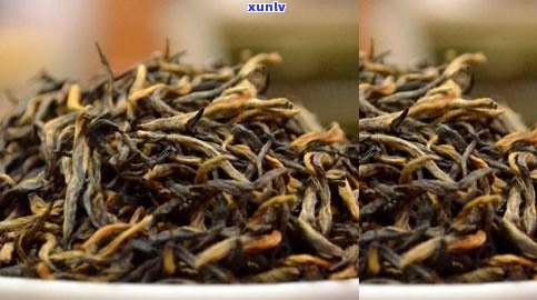 普洱茶是不是都是红茶：探讨普洱茶的分类及其特点