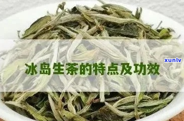 冰岛茶的功效与作用及禁忌：解渴生津、提神醒脑，但过量饮用可能导致失眠。