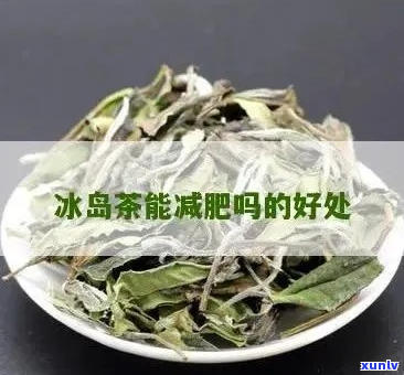 冰岛茶的健益处：深入解析其对身体的综合影响及功效