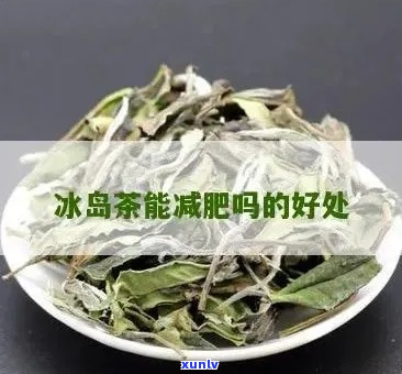 冰岛茶的健益处：深入解析其对身体的综合影响及功效