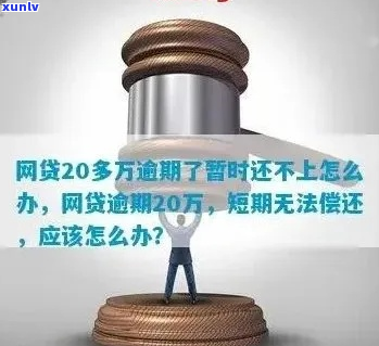 网贷二十几万无力偿还怎么办-网贷二十几万无力偿还怎么办呢