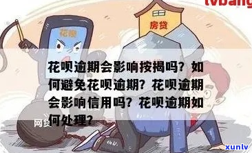 花呗逾期后会有哪些影响-花呗逾期后会有哪些影响呢