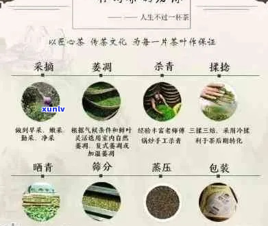 云南兆仓丰普洱茶：品种、产地、 *** 工艺、口感、功效与泡法全面解析