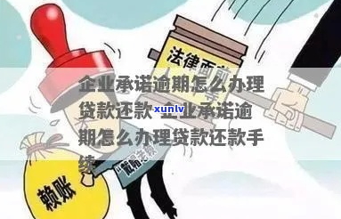 企业贷款逾期还款该怎么处理-企业贷款逾期还款该怎么处理呢