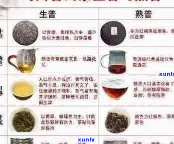 全面解析：甜度较高的普洱茶与选购指南，助您轻松选到好茶