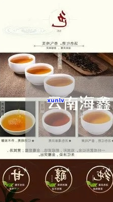 '云南海鑫堂普洱茶膏价格查询，南涧海鑫堂普洱茶膏'