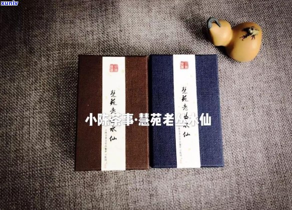 305茶叶品种：探究其独特的香气与口感特性