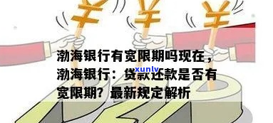 渤海银行期还款申请-渤海银行贷款还款