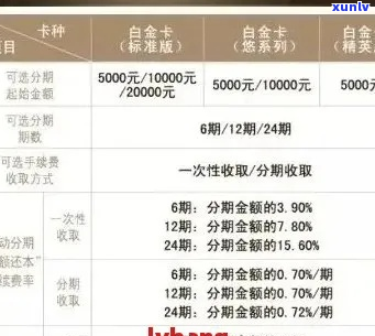 信用卡帐单个性化分期还款怎么操作-信用卡帐单个性化分期还款怎么操作的