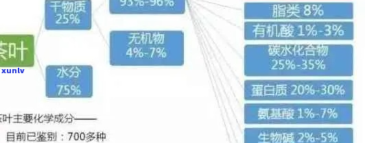 普洱茶中的单：成分、作用与影响