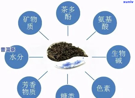 普洱茶中的单：成分、作用与影响