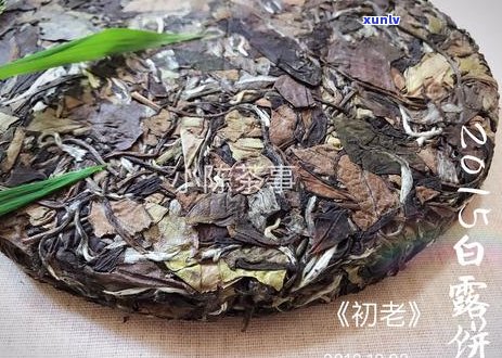 白茶好还是普洱茶好：哪个更值得收藏？