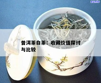 白茶与普洱茶：一场收藏价值的较量，哪一种茶更为珍藏？