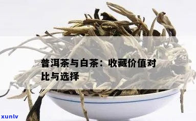 白茶与普洱茶：一场收藏价值的较量，哪一种茶更为珍藏？