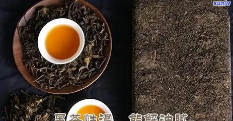 '更受欢迎的是普洱茶吗？为什么普洱茶如此受欢迎？'