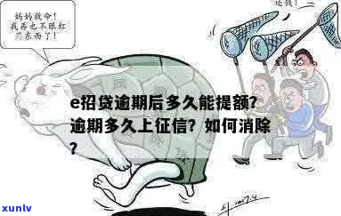 E点贷逾期多久上需要注意什么-e点贷逾期多久上需要注意什么事项