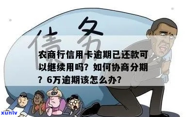 60万农商银行逾期后果会怎样处理-农商银行六十可以贷款吗