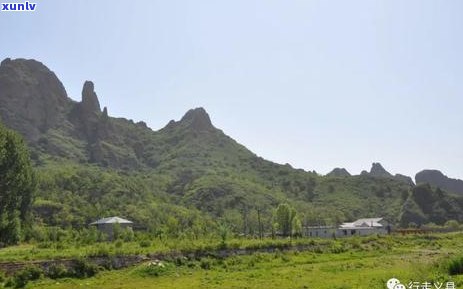 2012年六大茶山之旅：品味茗香，感受自然之美