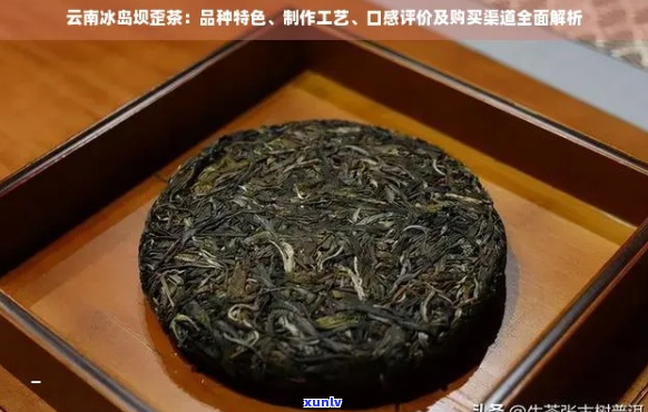 坝歪冰岛价格：云南冰岛古树茶与坝歪茶的区别与特点