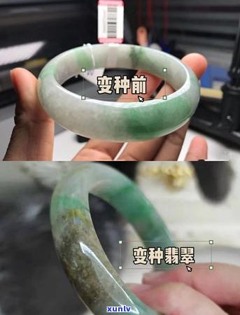 翡翠淡季购物指南：更佳时节与避坑建议，让您轻松选购心仪翡翠